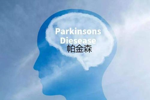中医对帕金森症的康复理疗