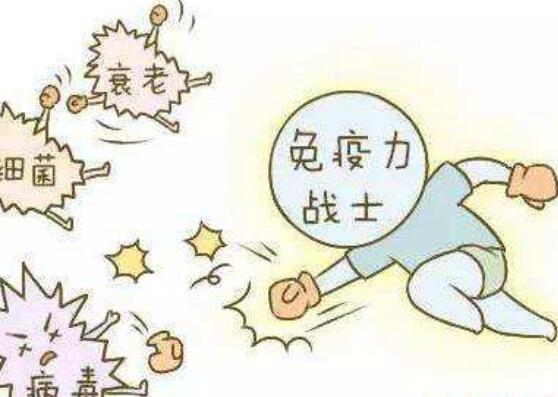 tkt熨经疗法增强人体免疫系统的防护功能